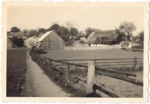 Kirchensteig in den 50er Jahren, rechts Büdnerei Nr. 7, (Dorfstr. 8, Fam. Janowski, http://urlaub-unterm-reetdach.com)